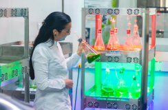 científica, realizando estudio en algas, en un equipo científico
