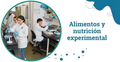 fotografía con pimentones, tomates, limones, huevos, perejil, berenjena distribuidas de tal manera que se identifican en colores