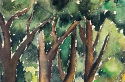 Avenida La Playa pieza del mes de junio en el MUUA