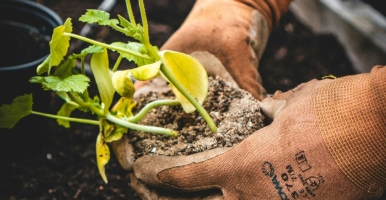 UdeA Launches New PhD Programs in Sustainability and Education and Health