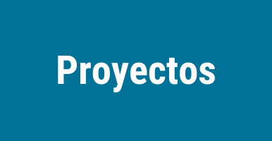 Producción científica