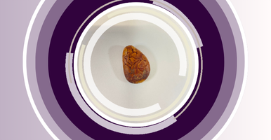 Producción científica