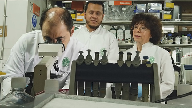 Con investigación genética, estudiante UdeA contribuye a la conservación del tití cabeciblanco
