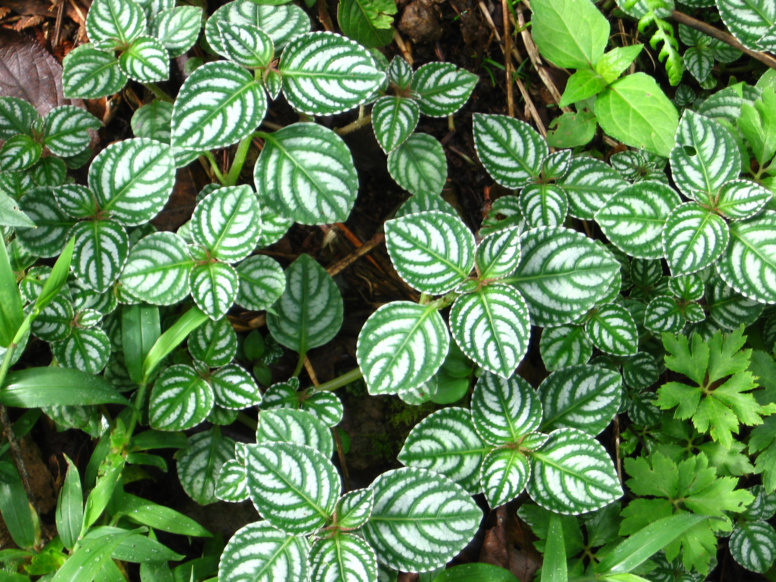 Producción científica