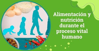 alimentos diversos en un mercado