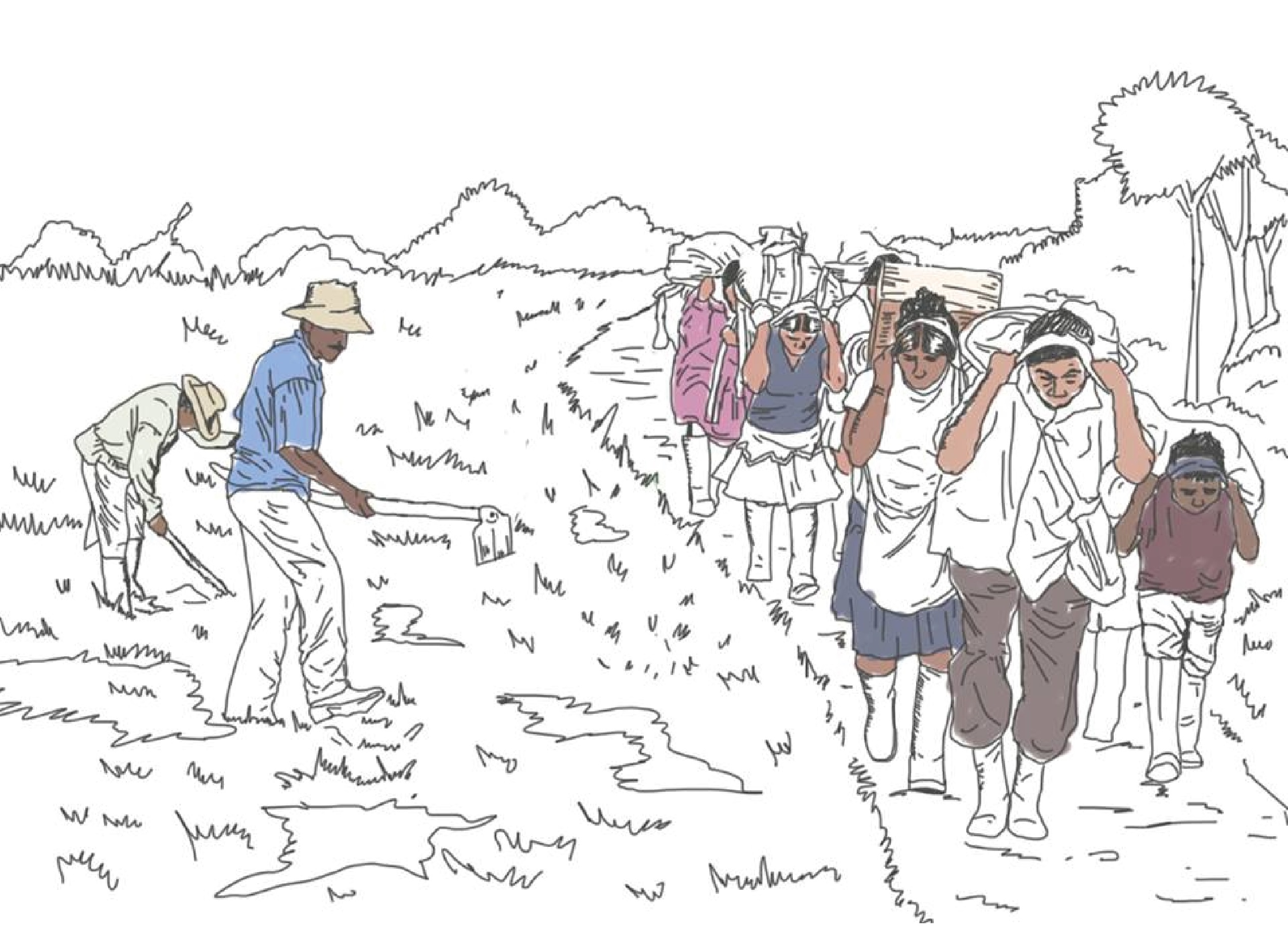 Restitución de tierras