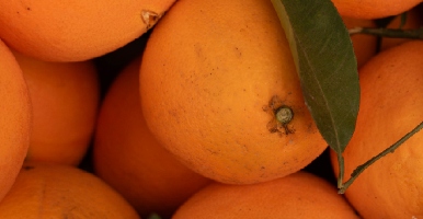 Viejas amigas que llegaron para quedarse