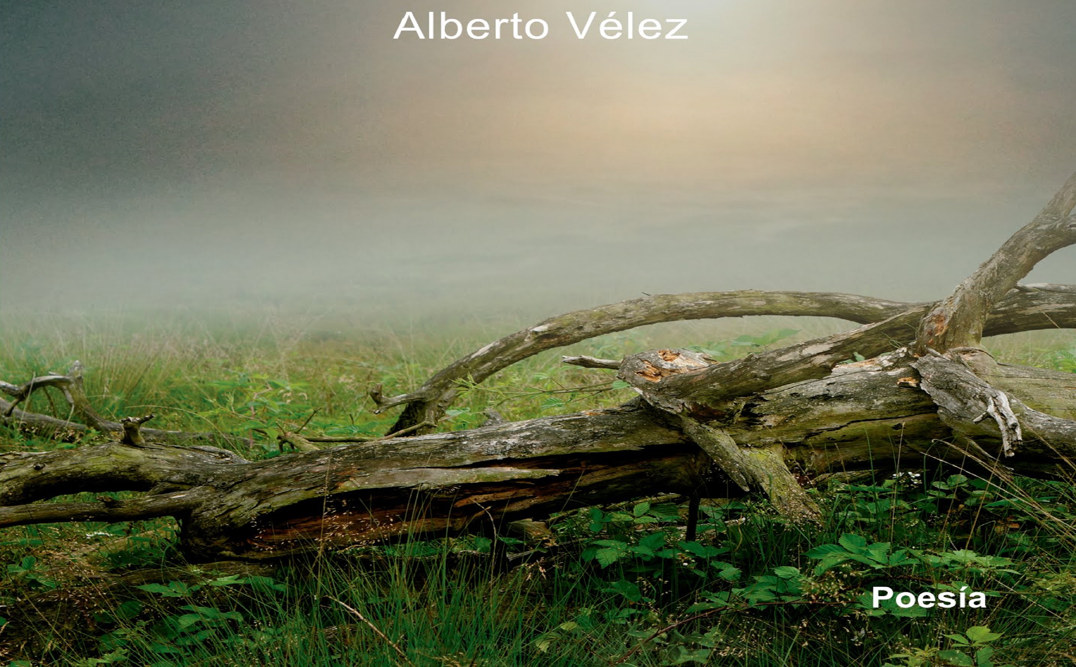 Entrevista a Alberto Vélez