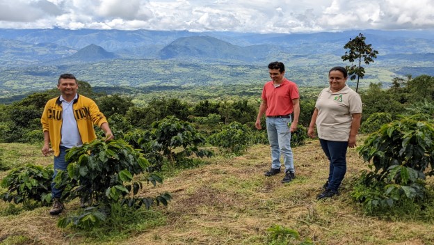 Las familias campesinas y las aves salvaguardan la tradición jardinera en Támesis