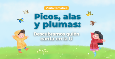 Visita temática. Picos, Alas y Plumas: descubramos quién canta en la U