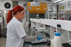 Servicios de extensión