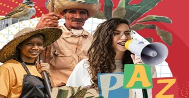 Botón de la nota sobre el diplomado en Construcción de paz, derechos humanos y mecanismos de prevención y autoprotección