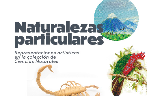 Naturalezas particulares: 80 años de la colección de ciencias