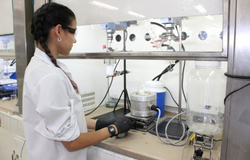 Producción científica