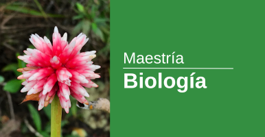 Maestría Bología