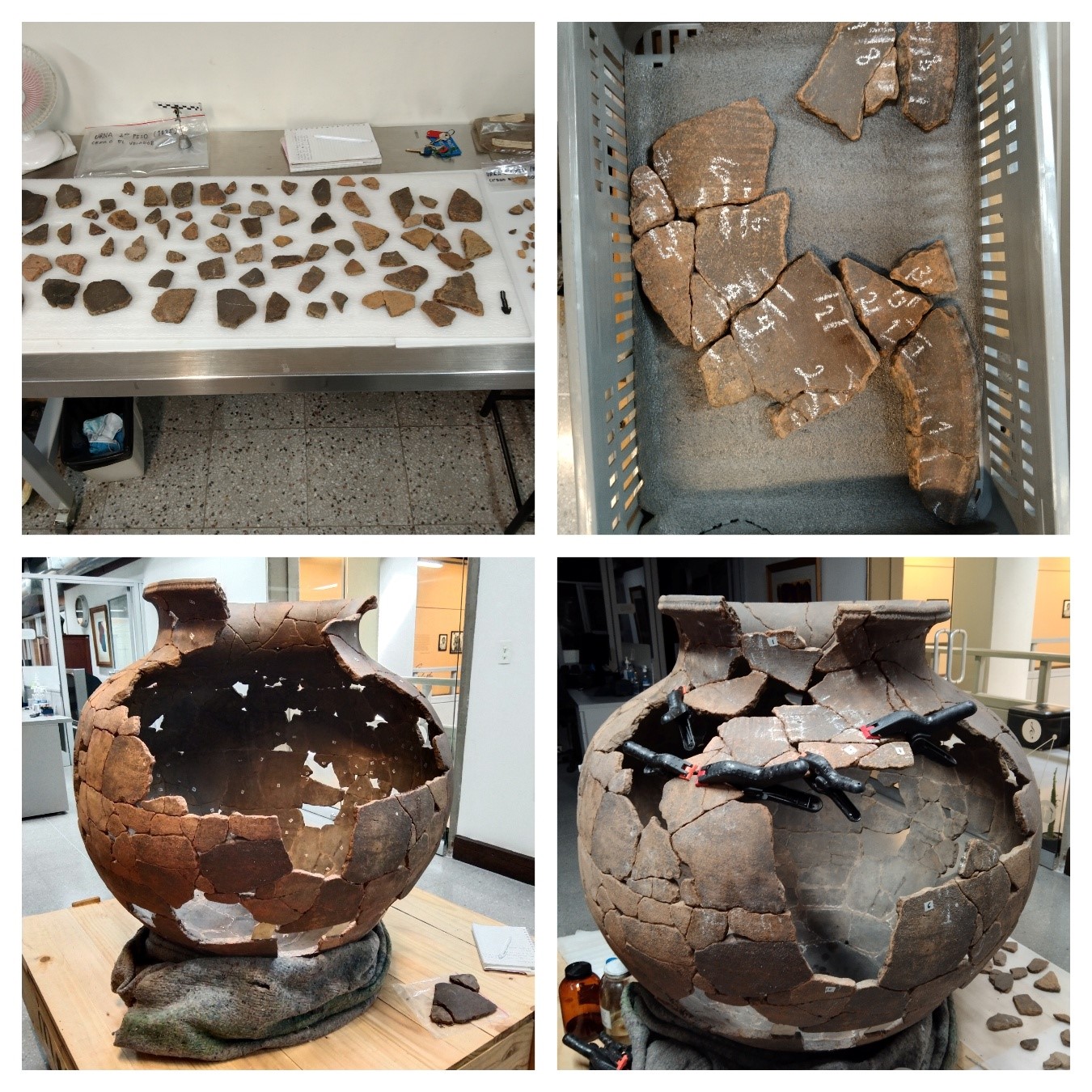 A collage of pieces of pottery

AI-generated content may be incorrect.