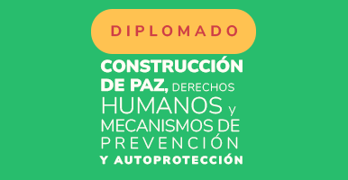 Cartillas diplomado