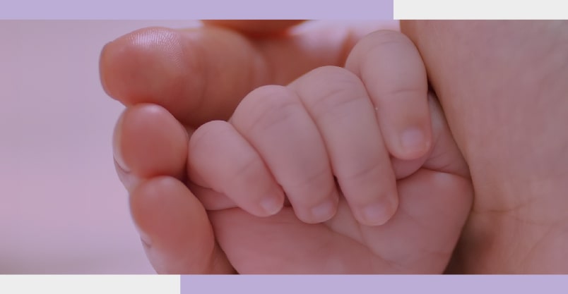 bebe