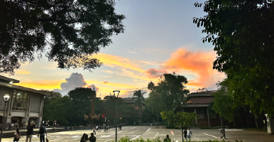 Crisis Financiera Institucional de la Universidad de Antioquia