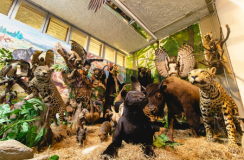 Los guardianes de las bibliotecas de vida en el Muua