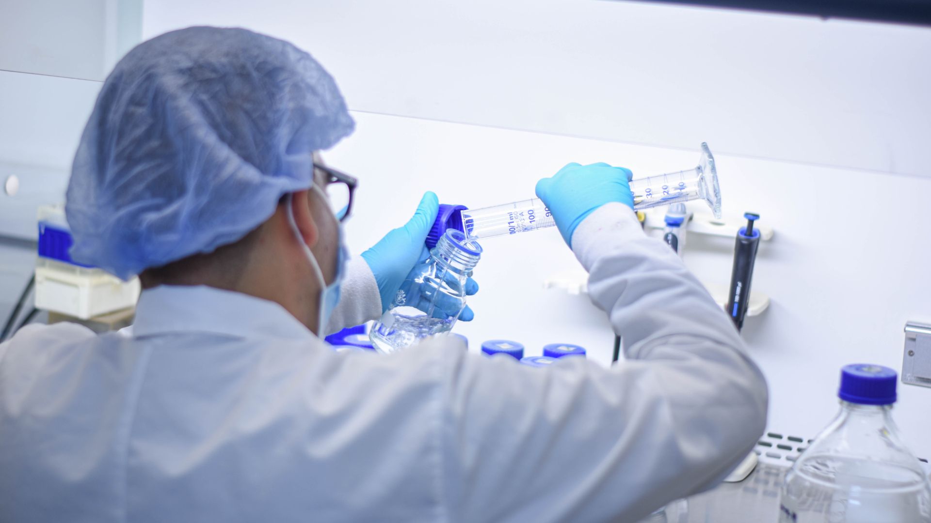 Con investigación genética, estudiante UdeA contribuye a la conservación del tití cabeciblanco