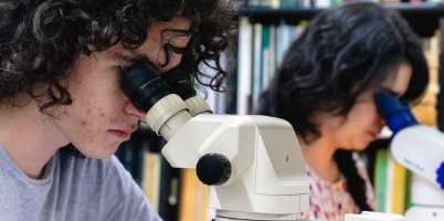 Con investigación genética, estudiante UdeA contribuye a la conservación del tití cabeciblanco