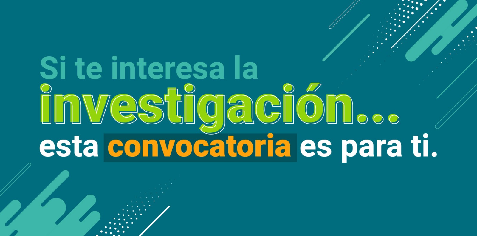 flexibilización investigación