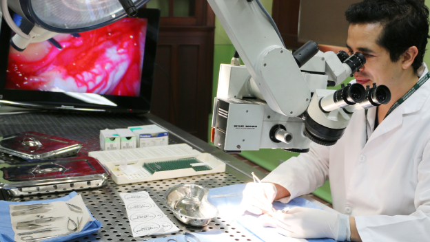 IA en las aulas de medicina: la Facultad UdeA abre camino para un uso responsable