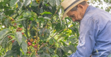 UdeA’s Ituango Coffee Growers Project Takes Center Stage at the Night of Excellence