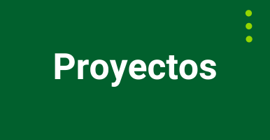 Proyectos