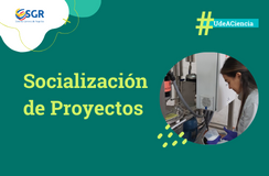 Texto" socialización de proyectos" imagen de una mujer realizando los estudios de su proyecto 