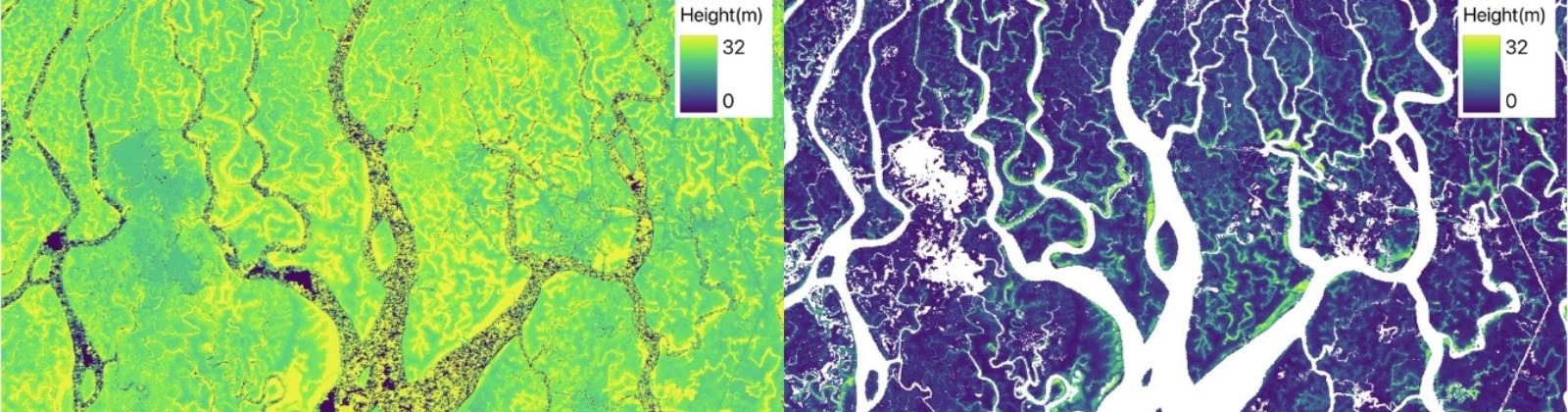New map reveals key mangrove data