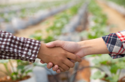 Seminarios Públicos de posgrados