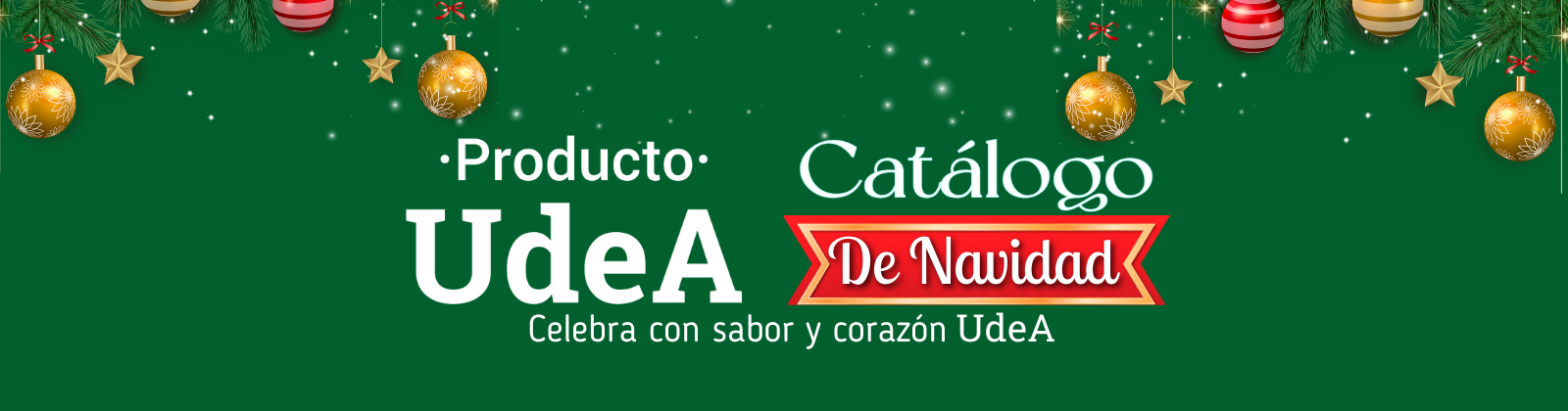 Portafolio servicios CIFAL