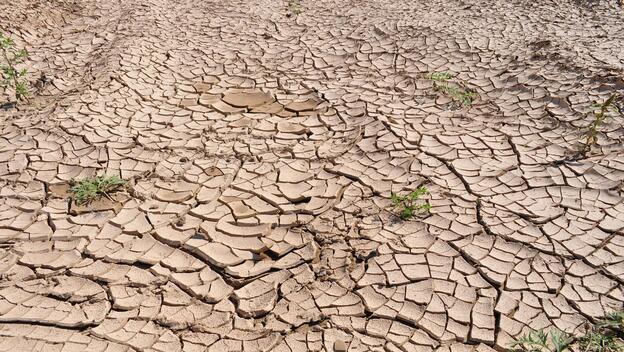 Crisis climática: voluntad política vs. investigación científica