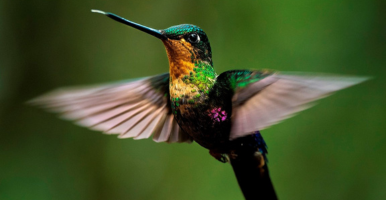 producción Científica