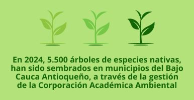 jornada de siembra