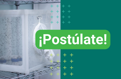 laboratorios udea