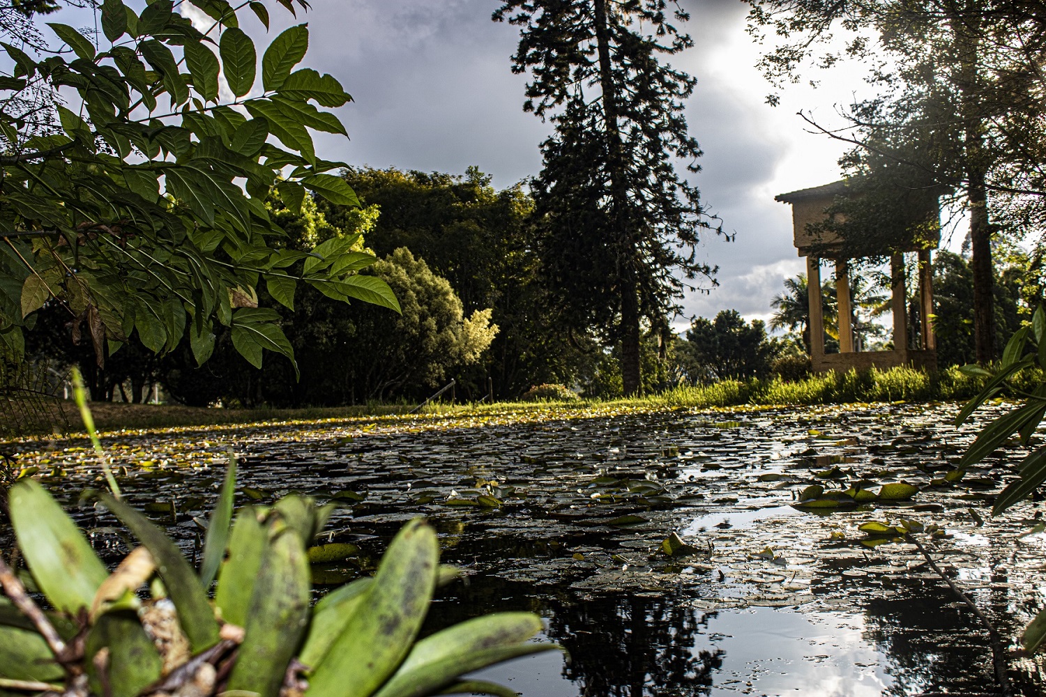 Lago UdeA Seccional Oriente