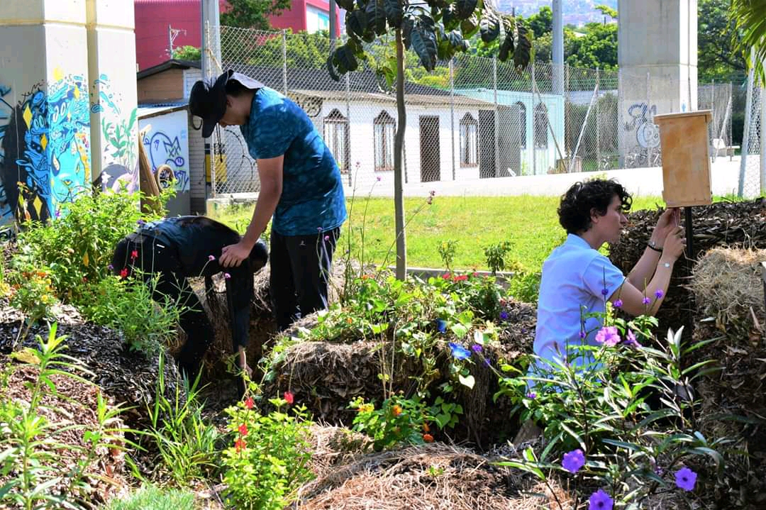 Aprovechamiento de residuos orgánicos UdeA Medellín
