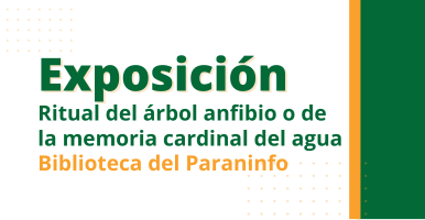 Cursos de formación complementaria