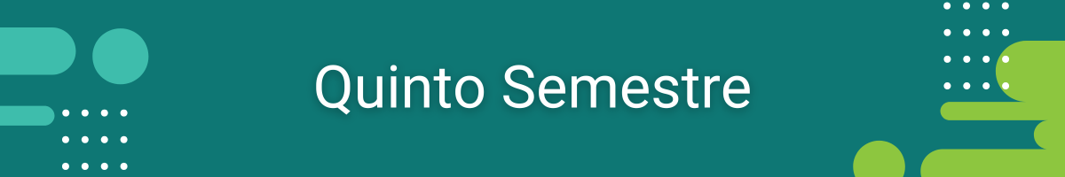 Quinto Semestre