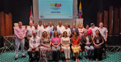 gobierno udea