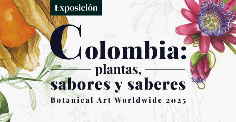 Inter-Acciones. Una exposición en alianza con CIFO