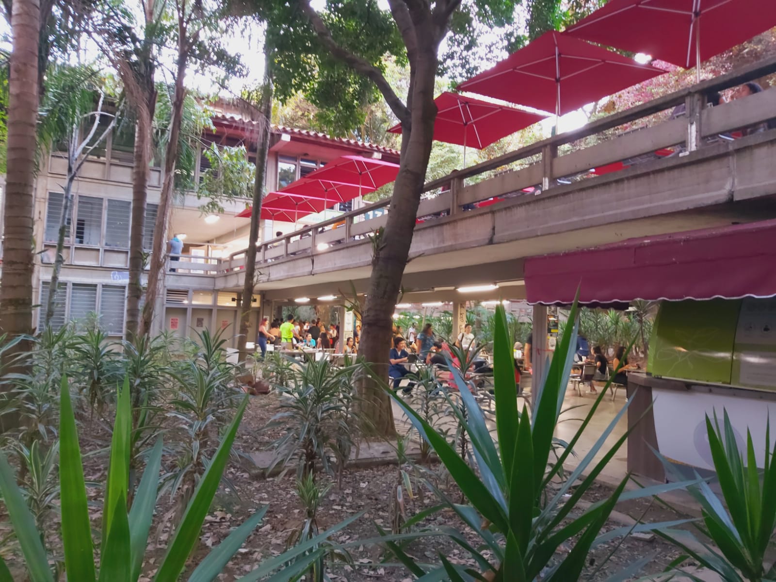trabajos de grado