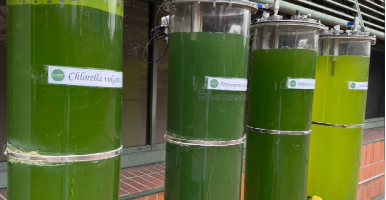 Two UdeA professors are members of the Intergovernmental Panel on Climate Change