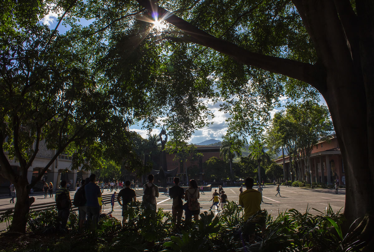 UdeA
