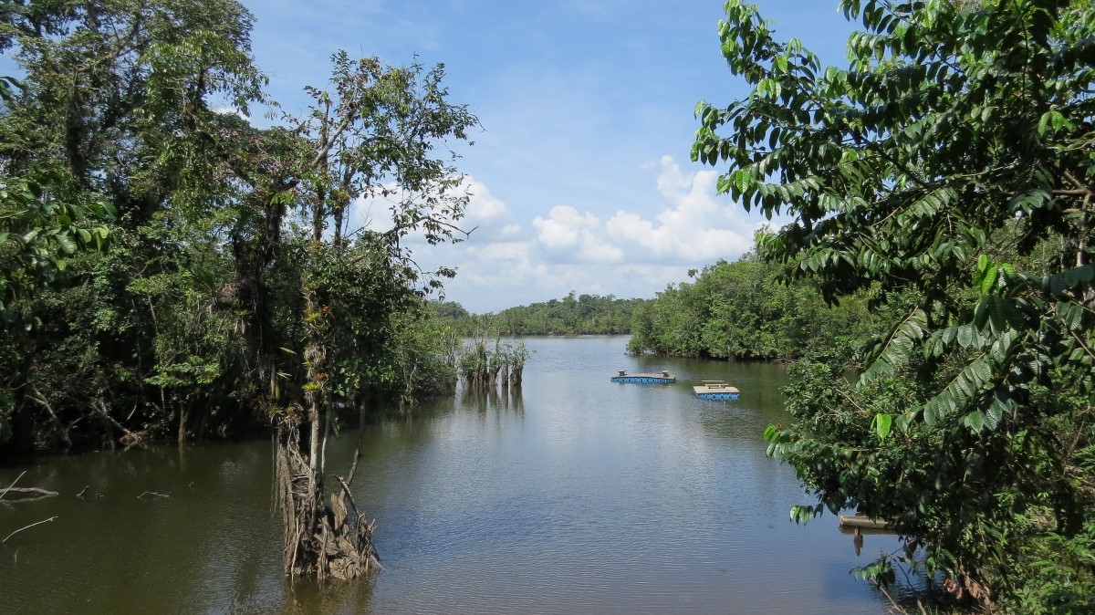 Atrato river mouth
