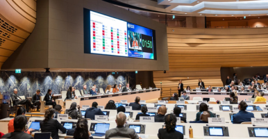 Niños y niñas disfrutando de las actividades pedagógicas del Museo de la Vida