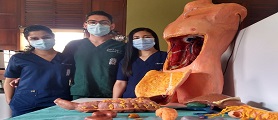 Así es Frankly, un simulador de dorso humano creado por estudiantes para prácticas de cirugía